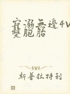 宠溺无边4V2双胞胎