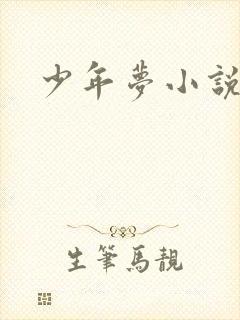 少年梦小说