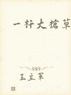 一杆大枪草全家