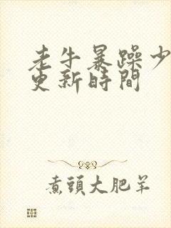 老牛暴躁少女的更新时间