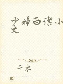 少妇白洁小说全文