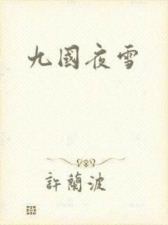 九国夜雪