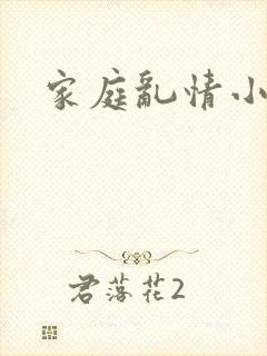 家庭乱情小说