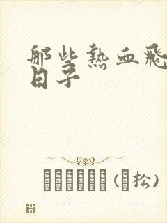 那些热血飞扬的日子封面