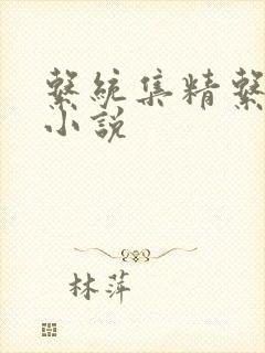 系统集精系统 小说封面