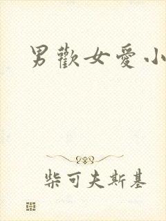 男欢女爱小说
