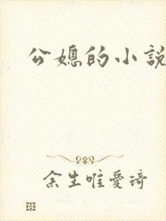 公媳的小说