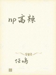 np高辣