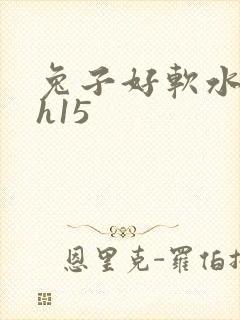 兔子好软水好多h15