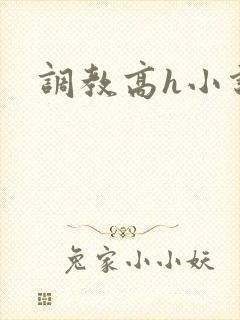调教高h小说封面