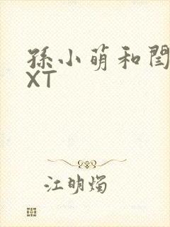 孙小萌和闫辰TXT封面