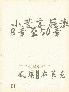 小莹客厅激情38章至50章