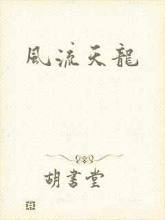 风流天龙