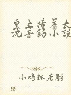 皇上撞着太子妃沈音的小说叫什么