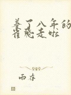 养了八年的金丝雀飞走啦