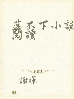 落不下小说免费阅读