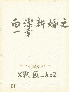 白洁新婚之夜第一章封面