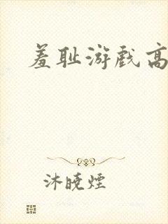 羞耻游戏高h封面