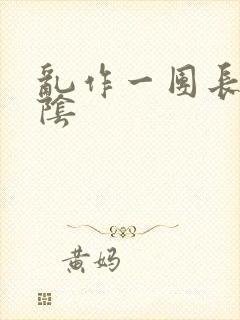 乱作一团长日光阴封面