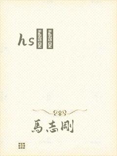 hsС˵封面