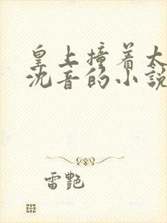 皇上撞着太子妃沈音的小说叫什么