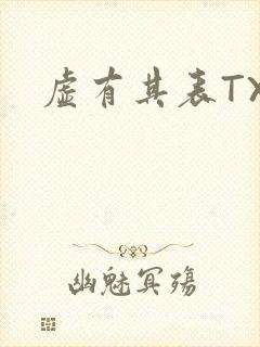 虚有其表TXT封面