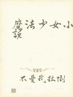 魔法少女小圆小说封面