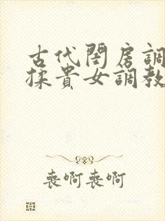 古代闺房调教h揉贵女调教记封面