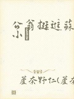 公翁挺进苏玥的小泬