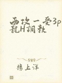两攻一受3p双龙H调教