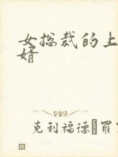 女总裁的上门女婿