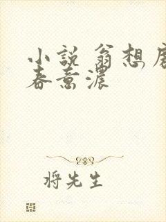 小说 翁想房中春意浓封面