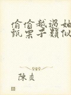 偷偷越过她by甄栗子类似小说