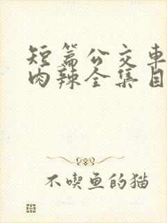 短篇公交车高h肉辣全集目录