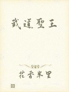 武道圣王封面