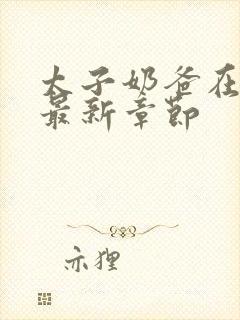 太子奶爸在花都最新章节封面