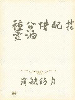 种公借配花间一壶酒