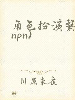 角色扮演系统(npn)