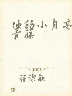 他的小月亮by青藤