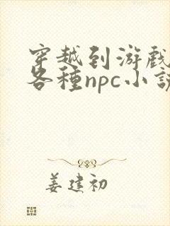 穿越到游戏里和各种npc小说