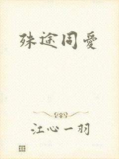 殊途同爱封面