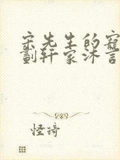 宋先生的宠妻计划轩家沐言