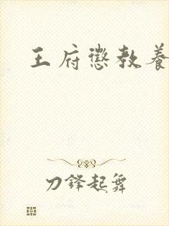 王府惩教养日常