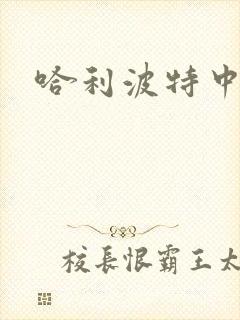 哈利波特中文版