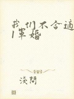 我们不合适1v1军婚封面