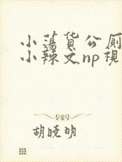 小荡货公厕h文小辣文np视频封面