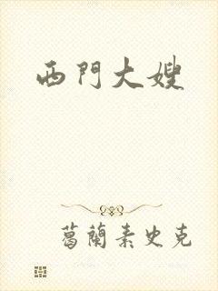 西门大嫂封面