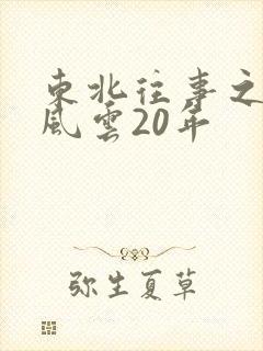 东北往事之黑道风云20年