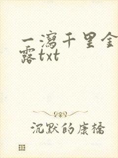 一泻千里金银花露txt