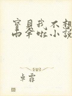 宝贝我不想带小雨伞啦小说